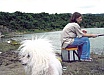 Infantils - C&ograve;dol 2002