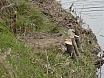 2003 Arranjat pescants als Pous de Roda