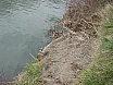 2003 Arranjat pescants als Pous de Roda