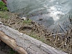 2003 Arranjat pescants als Pous de Roda
