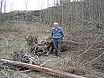 2003 Arranjat pescants als Pous de Roda