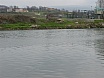 2003 Arranjat pescants als Pous de Roda