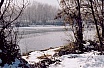 Nevada 2011