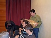 Assemblea-2010-2011