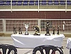 Festa del Pescador 2003