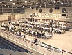 Festa del Pescador 2003