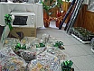 Festa del Pescador 2005