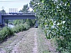 Arranjant pescant a Sota el Pont de la Gleva el Juny de 2007