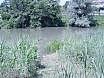 Arranjant pescant a Sota el Pont de la Gleva el Juny de 2007