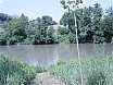 Arranjant pescant a Sota el Pont de la Gleva el Juny de 2007