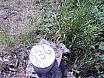 Arranjant pescant a Sota el Pont de la Gleva el Juny de 2007