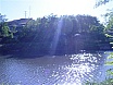 Arranjant pescant a Sota el Pont de la Gleva el Juny de 2007