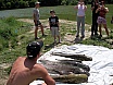 Infantils - Concurs 07-2005