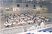 Festa del Pescador 2000